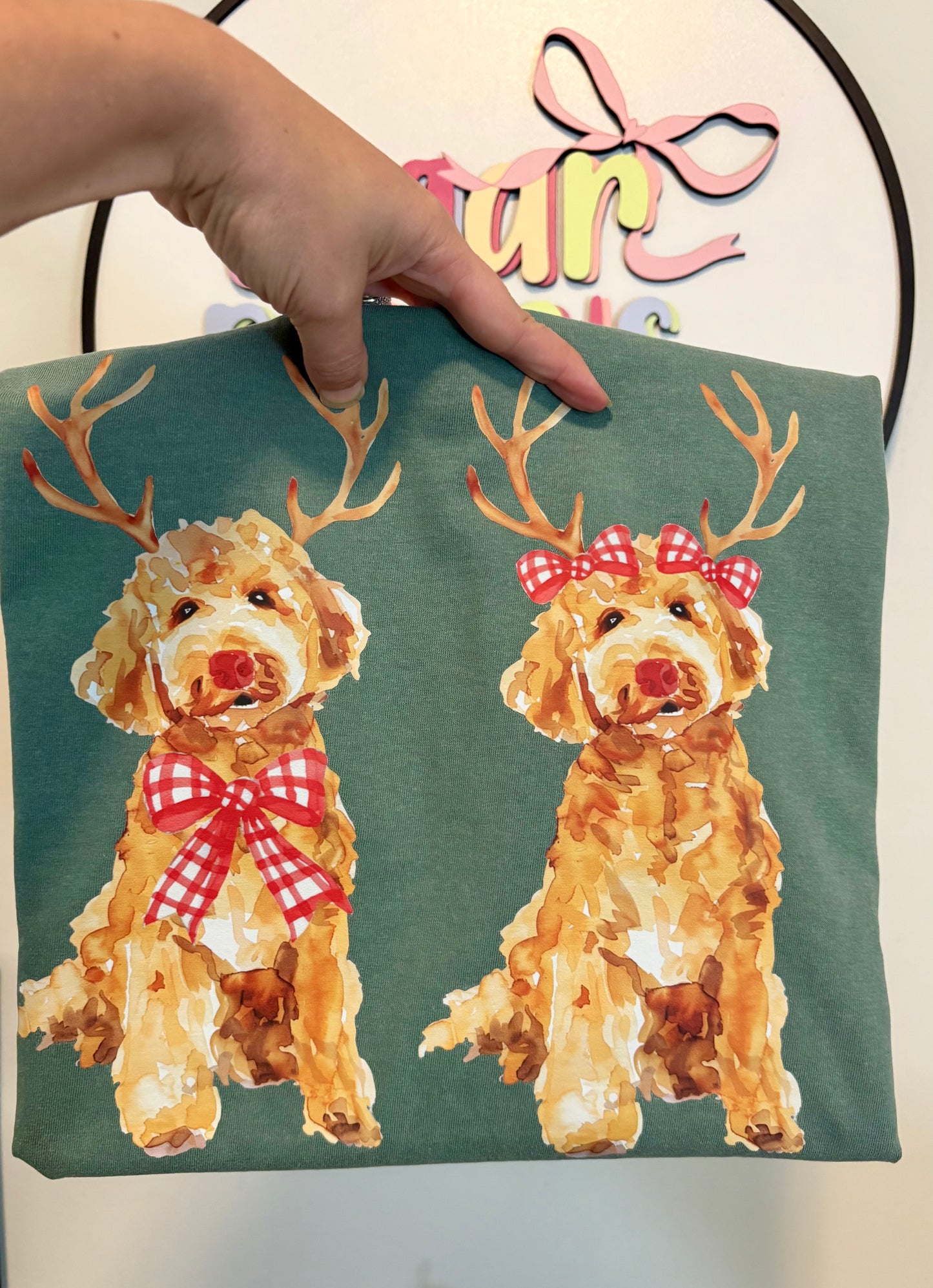 Christmas Goldendoodle Male and Female
